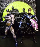 Nightwing (Batman) Custom Action Figure