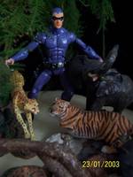 Phantom (Phantom) Custom Action Figure