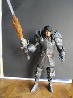 The Grey Warden (Dragon Age) Custom Action Figure