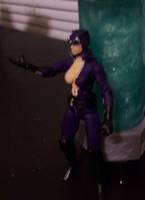 Catwoman (Mortal Kombat vs. DC Universe) Custom Action Figure