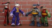 TMNT Robin (Batman Animated Series) (Teenage Mutant Ninja Turtles) Custom Action Figure