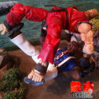 King (Tekken) Custom Action Figure