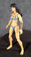 Princess Teegra of Fire and Ice (Legendary Comic Book Heroes) Custom Action Figure