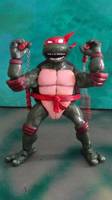 Michael Dooney Michaelangelo (Teenage Mutant Ninja Turtles) Custom Action Figure
