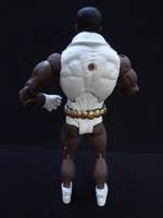 DC Tyroc Custom (DC Universe) Custom Action Figure