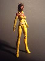 Vixen (V2) (DC Infinite Heroes) Custom Action Figure