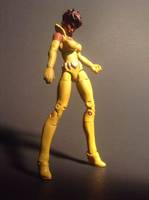 Vixen (V2) (DC Infinite Heroes) Custom Action Figure