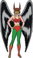 HAWKGIRL Earth-2 Shiera Sanders All-Star Squadron JSA (Marvel Legends) Custom Action Figure