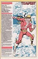 Tempest (from Atari Force) (DC Universe) Custom Action Figure