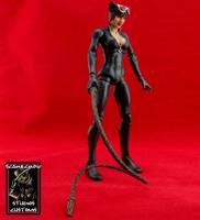 Catwoman (DC Universe) Custom Action Figure