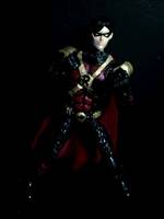 Robin (DC Universe) Custom Action Figure
