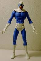 DOVE I Don Hall New 52 Version (DC Universe) Custom Action Figure