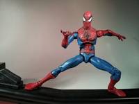 Spider-Man (Marvel Universe) Custom Action Figure