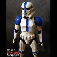 501st Stormtrooper (Star Wars) Custom Action Figure