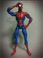 Mcfarlane Spider-Man (Marvel) Custom Action Figure