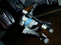 Wolfs Baine Rockstar (Xevoz) Custom Action Figure