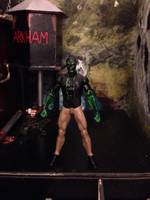 Blight Batman beyond (Batman Beyond) Custom Action Figure