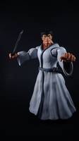 Samurai Jack (Samurai) Custom Action Figure