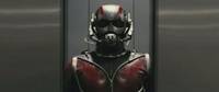 Ant-Man Movie Custom Figure (Legendary Comic Book Heroes) Custom Action Figure