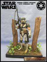 Imperial Combat Harden Trooper (Star Wars) Custom Action Figure