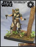 Imperial Combat Harden Trooper (Star Wars) Custom Action Figure