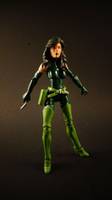 Madamn Hydra (Marvel Universe) Custom Action Figure