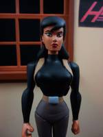 Renee Montoya (Batman Animated Series) (Batman Animated) Custom Action Figure