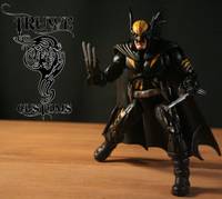 Dark Claw (Marvel Legends) Custom Action Figure