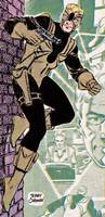 TARANTULA John Law All-Star Squadron Member (DC Universe) Custom Action Figure
