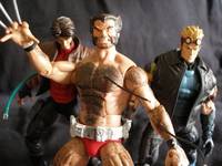 Wolverine (Marvel Universe) Custom Action Figure