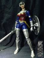 Wonder Woman (DC Universe) Custom Action Figure