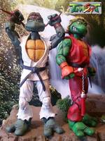 Teenage Mutant Street Fighter Turtles...Mi-Kenangelo & Raph-Ryu (Teenage Mutant Ninja Turtles) Custom Action Figure