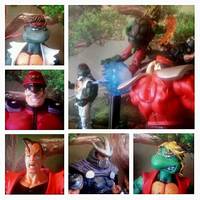 Teenage Mutant Street Fighter Turtles...Mi-Kenangelo & Raph-Ryu (Teenage Mutant Ninja Turtles) Custom Action Figure