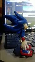 Shadilvic (Sonic) Custom Action Figure