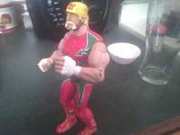 Luchador Hulk Hogan (Wrestling) Custom Action Figure