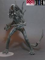Predalien Warrior (Alien vs Predator) Custom Action Figure
