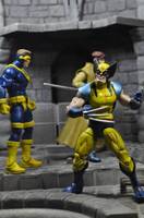 Wolverine (Marvel vs Capcom) Custom Action Figure