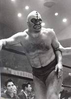 The Mighty Destroyer (Wrestling) Custom Action Figure