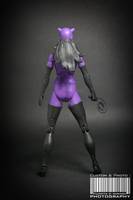 DCUC Catwoman Jim Balent Style (DC Universe) Custom Action Figure