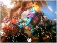 Teenage Mutant Street Fighter Turtles...Charli-Tello (Teenage Mutant Ninja Turtles) Custom Action Figure