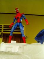Animated Spiderman Mcfarlane (Marvel Legends) Custom Action Figure