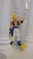 SH Figuarts Gogeta (Dragonball Z) Custom Action Figure