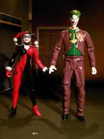 Joker & Harley Quinn (DC Superheroes) Custom Action Figure