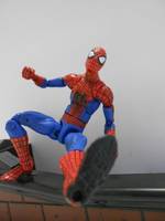 The Amazing Spider-Man (Spider-Man - Movie) Custom Action Figure