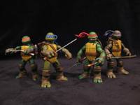 Teenage Mutant Ninja Turtles (Teenage Mutant Ninja Turtles) Custom Action Figure