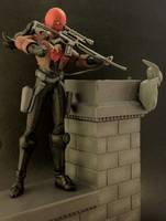 Red Hood Femme Fatale (DC Universe) Custom Action Figure