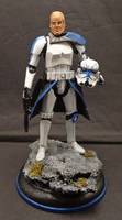 Captain Rex Stormtrooper (Star Wars) Custom Action Figure