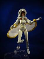 Jim Lees Storm (Marvel Universe) Custom Action Figure