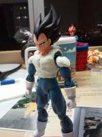 S.H.Figuarts Buu Saga Vegeta (Dragonball Z) Custom Action Figure