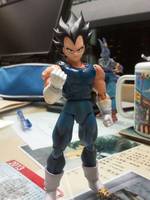 S.H.Figuarts Buu Saga Vegeta (Dragonball Z) Custom Action Figure